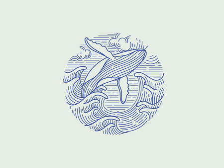 breaching humpback whale logoのイラスト素材