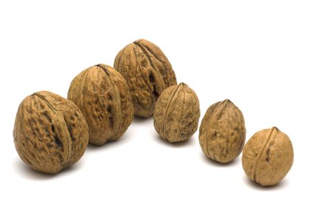 walnut on white background