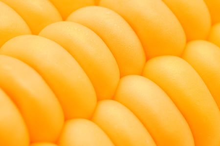 macro of yellow corn cobs background