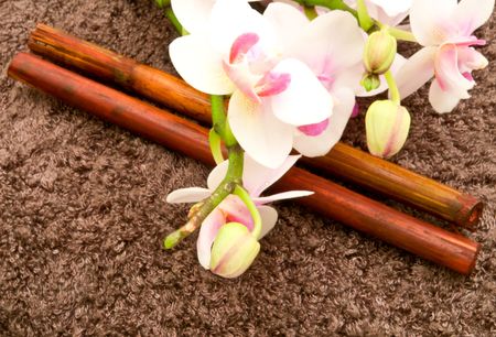 Composition with blossoming orchids, bamboo sticks on brown spa towelの写真素材