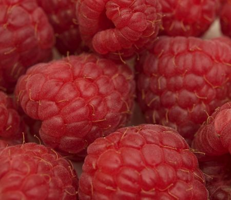 raspberry background