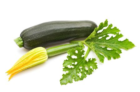 fresh bio marrow on white background の写真素材
