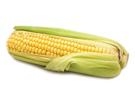 fresh corn on white background の写真素材