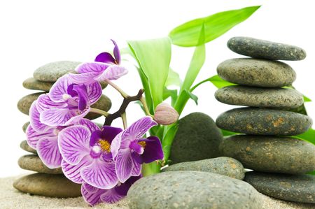 pink orchid, stack of stones and bamboo leaves on white background の写真素材
