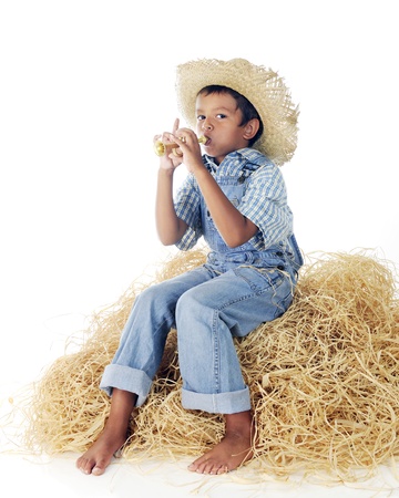 An adorable little farm boy sitting on a haystack, barefoot in blue blowing a tiny gold trumpet.  On a white background.の写真素材