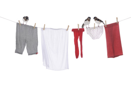 Three birds standing on a clothesline with an assortment of drying clothes.  On a white background.の写真素材