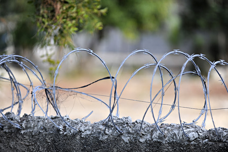Closeup image of loops of razor wire embedded in the top of a concrete wall の写真素材