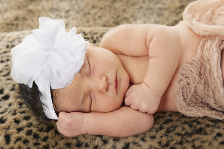Close-up of an adorable newborn contendly sleeping on leopard-skin textile,の写真素材