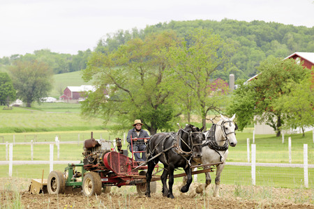 An amish man cultivating his fields in the springtime with a pair of horses.  Focus on man.の写真素材