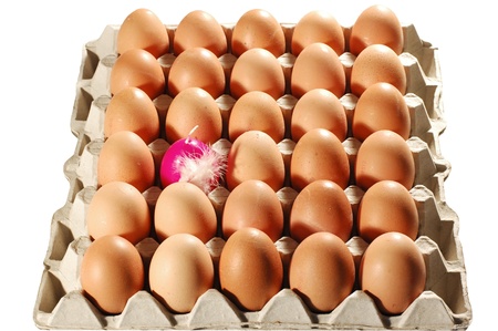 Easter Eggsの写真素材