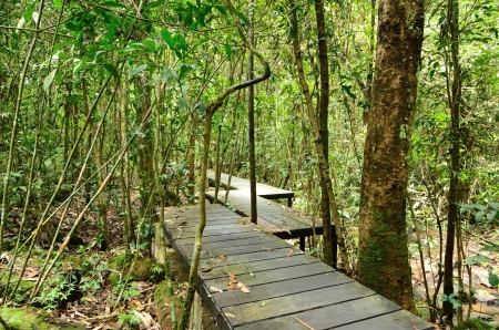 Hiking nature studyの写真素材
