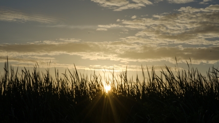 Sunrise sunset sky clouds yellow の写真素材