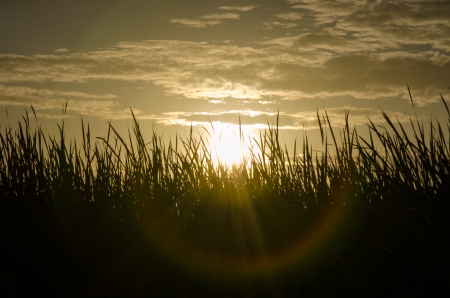 Sunrise sunset sky clouds yellow の写真素材
