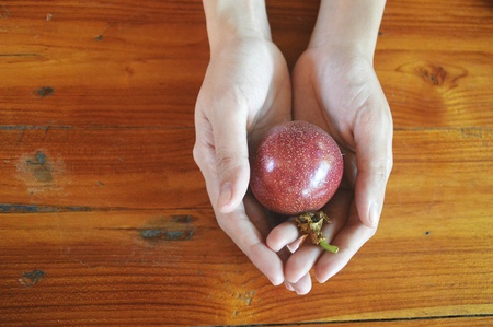 Two hands hold a passion fruitの写真素材