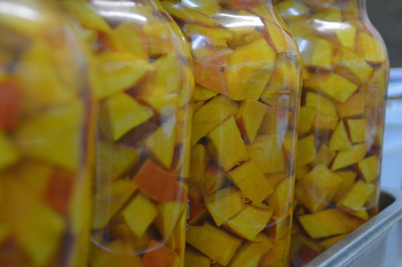 sliced pickled pumpkinの写真素材