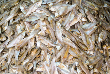 Closeup of dried fish in the market saleの写真素材