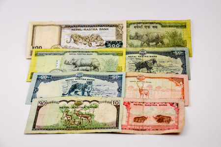 Prepared Nepalese Rupee me white backgroundの写真素材