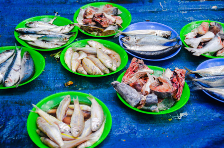 Rail fresh fish on a fish market in asiaの写真素材