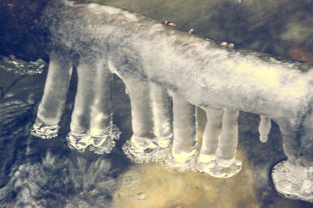 Icicles formed on a branch above the waterの写真素材