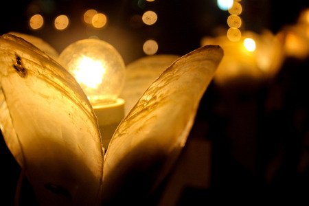 Screen background with many yellowish golden lights and a lantern in the foregroundの写真素材