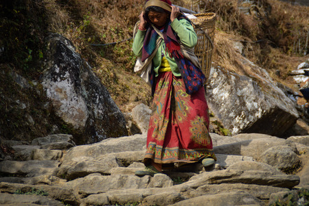 A Nepalese woman carries her crop down to the village to sell it thereのeditorial素材
