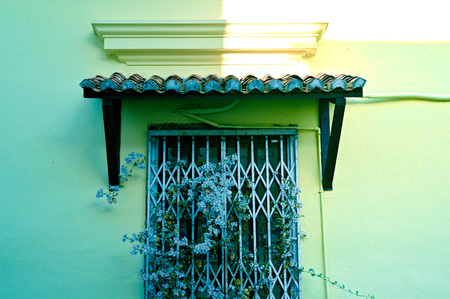 Lilane flowers grow on a barred window with canopy on a yellow wall, in Penang, Malaysia
