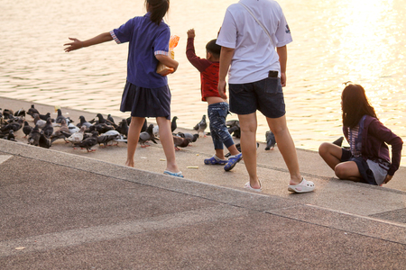 A family feeds the pigeons along the river during an outingの写真素材