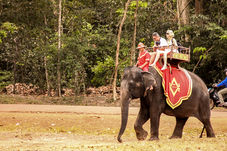 A elephant has had to carry tourists all the way through his life on his backのeditorial素材