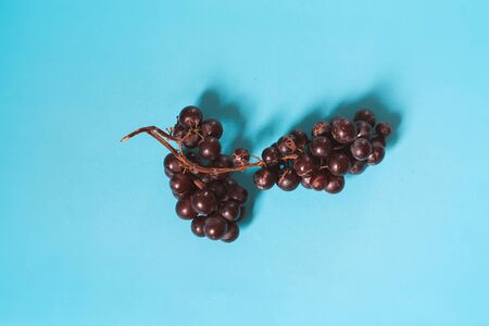 Ripe violet grapes against a bright blue background to show color contrast, concept of fun and pop...