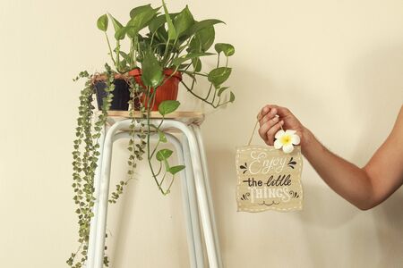 Spring time inspired home decoration using houseplants to create a gender neutral and relaxing home...