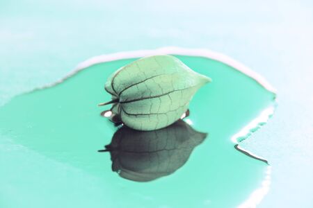 Conceptual still life photo of a physalis or cape gooseberry (Physalis peruviana) reflected on water...