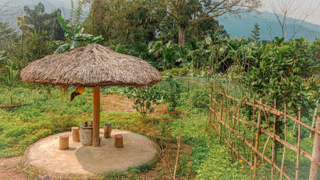 Tranquil view of a backyard vegetable and fruit garden in Ha giang Vietnam  that shows the everyday life and culture in the countrysideの写真素材