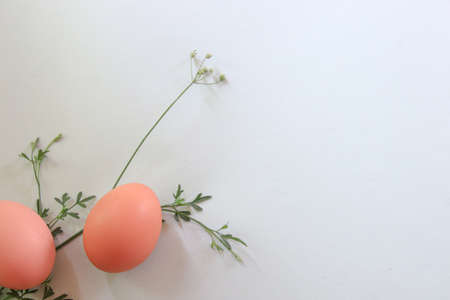 Dainty flowers and eggs arranged to create a Spring and Easter theme flay layout backgroundの写真素材