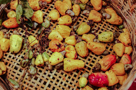 Top view of ripe cashew fruits drying in the sun for harvesting cashew nutsの写真素材