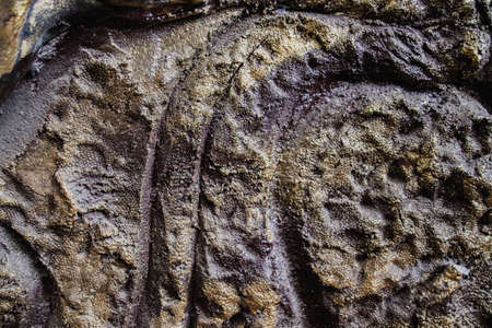 Close up view of a rough cement wall textured backgroundの写真素材