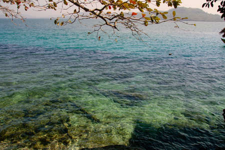 Scenic view of clear blue seascape framed by tree branches in Koh Sdach, Cambodia