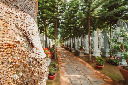 Rows of white Buddha statues in Linh An Tu Pagoda in Dalat, Vietnamの写真素材