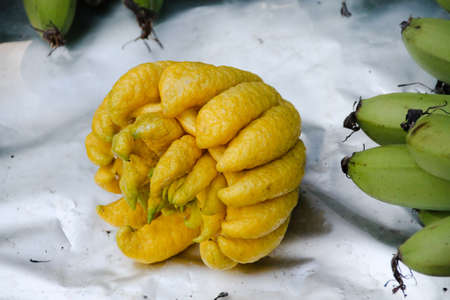 Banana fruit on white background. Close up of fresh bananas.
