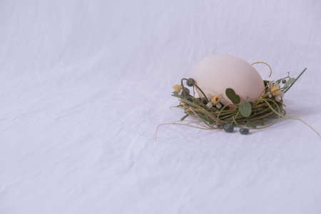 Delicate nest of flowers cradling an egg, Easter theme backgroundの写真素材