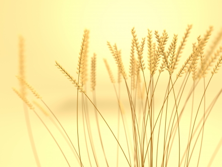 A render of a wheat field with depth of fieldの写真素材