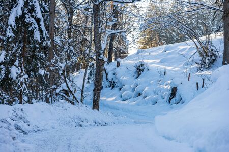 Empty road in winter Rohrmoos-Untertal, Schladming, Schladming-Dachstein, Dachstein massif, Liezen District, Styria, Austria, Europeの写真素材