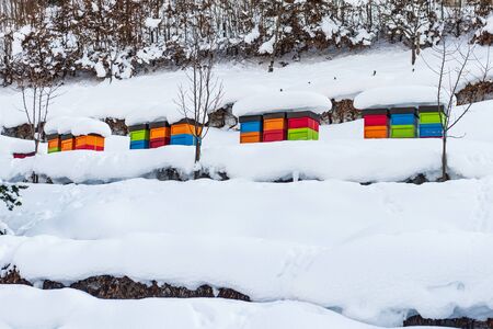 Winter, snowy scenery with colorful beehives covered with snow, placed on the hill. Snow covered trees and mountains in the background.の写真素材
