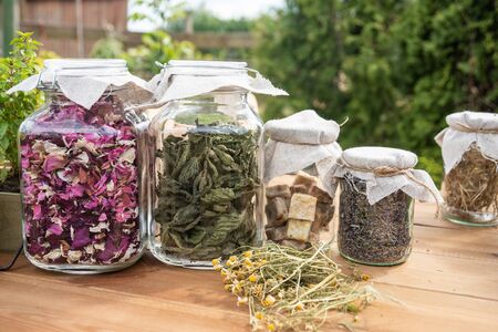 Dried herbs: mint leaves and rose petals in glass jars on wooden table, with green background.の写真素材