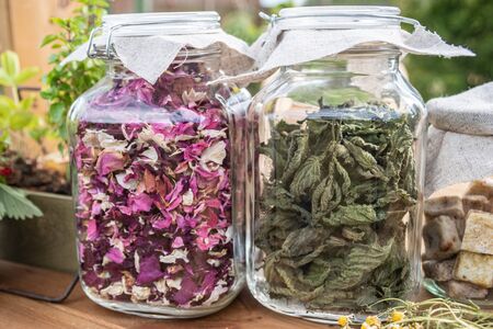 Dried herbs: mint leaves and rose petals in glass jars on wooden table, with green background.の写真素材