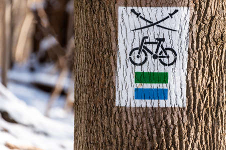 The two swords and bike path, trail sign on tree bark. Black, green and blue cycling paths. Nature activity background. Bicycle graphic symbol on a tree. White green paint travel information.の写真素材