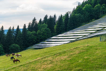 Solar park, alpine meadow, pasture and grazing horses with alpine mountains in the background. Solar panels in a rural landscape in the summer Alps. Sustainable development of global solar energy.の写真素材
