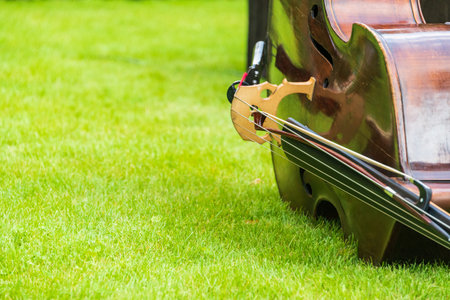 Contrabass on a background of green grass. The musical instrument consists of a soundboard with two holes, a neck with a fretless fingerboard and a headstock in the characteristic shape of a snail.の写真素材