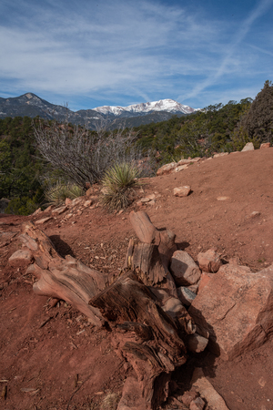 garden of the gods in colorado springs - travel photography on a colorado vacation in the rocky mountains.の写真素材