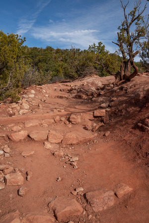 garden of the gods in colorado springs - travel photography on a colorado vacation in the rocky mountains.の写真素材