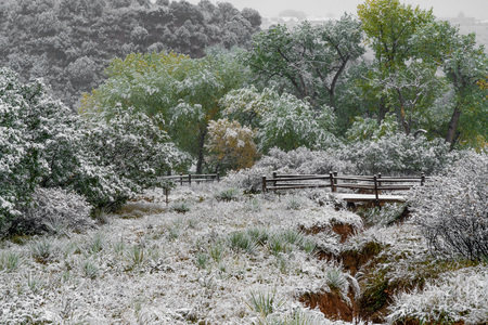 snow storm can be seen falling on the garden of the gods in colorado springs during a winter blizzard snow storm  on a hiking or walking path or trail and a small wooden wood bridge - travel vacation in the rocky mountains.の写真素材